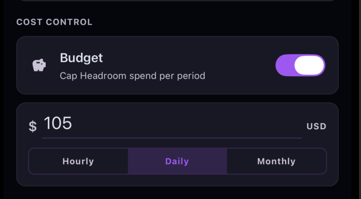 Cost Control with the Budget toggle on, an amount of $105 USD, and an Hourly / Daily / Monthly period selector